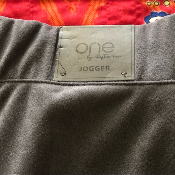 ONE byCHAPTER ONE LADIES DRESSY JOGGERS.THE MATERIAL FEELS VELVETY VELOUR.NWT!🔥 - Picture 6 of 6